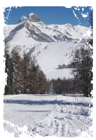 Location de skis de fond